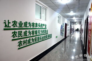 中國電子科技集團消費扶貧新舉措 采購清水農(nóng)產(chǎn)品助力鄉(xiāng)村振興，科技研發(fā)賦能農(nóng)業(yè)現(xiàn)代化