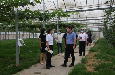 河北省科技廳副廳長李華峰一行赴中國農(nóng)業(yè)大學(xué)涿州教學(xué)實驗場調(diào)研指導(dǎo)重點科技項目建設(shè)