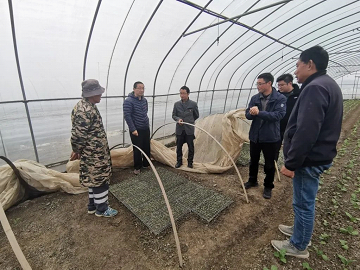 科技賦能百業(yè)，智慧農業(yè)守護常熟種質未來