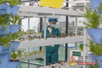 河南商丘 堅持“項目為王” 致力產業(yè)倍增 農業(yè)科技研發(fā)賦能高質量發(fā)展