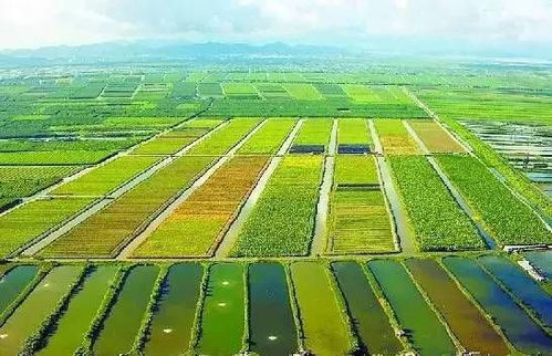 印度農業(yè)現(xiàn)代化的挑戰(zhàn)與生態(tài)平衡的路徑探索