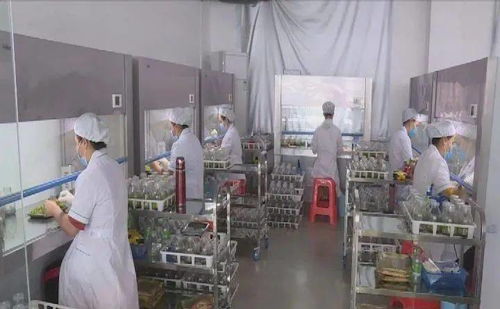 科技賦能品牌引領 東方市熱帶高效農業(yè)的高質量發(fā)展之路